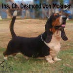 INA.CH.Desmond Von Mokmer