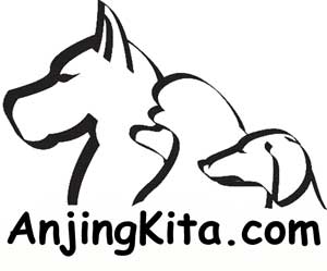 Situs AnjingKita.com Tidak Netral ?