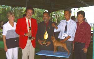 Liputan Pameran Back To Back & All Breed  Perkin Jateng & DIY