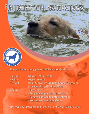 Fun Together With Labrador Retriever