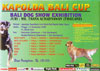 Bali Dog Show Exhibition